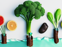 守护关节健康，从日常生活做起，日常习惯助您